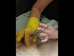 BDSM CBT Urethral Sounding Medical Play Cock Torment - Nettles & Dental Probes